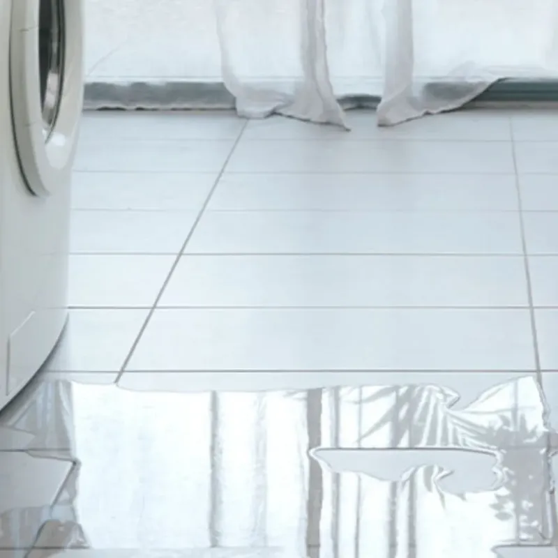 Appliance Leak Cleanup in Pine Grove, CA