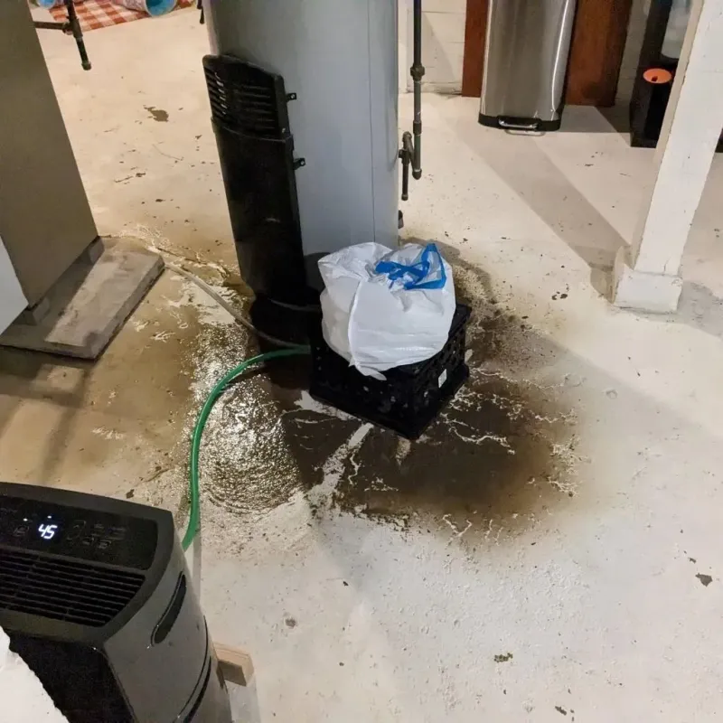 Sewage Backup Cleanup Service in Pine Grove, CA